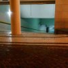 18 julho 2016 - 3:53